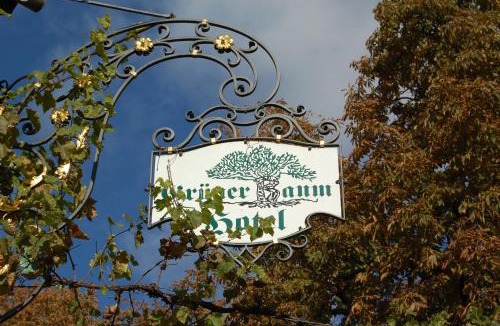 Bretzenheim Hotel | Hotel Grüner Baum
