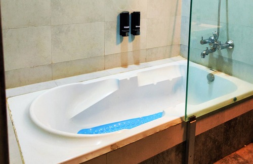 Rourkela Hotel | Hotel Green Apple