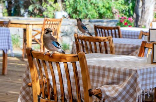 Gumusluk Hotel | Hotel Gumusluk
