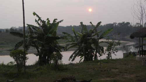 Sauraha Hotel | Hotel Hermitage