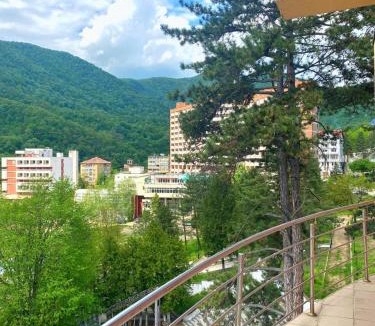 Baile Herculane Hotel | Hotel International