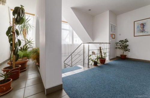 Tirnaveni Hotel | Hotel Iris