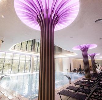 Moisei Hotel | Hotel Ivascu