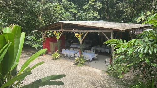 Quebrada La Gamba Cabin | Hotel La Gamba Rainforest Lodge