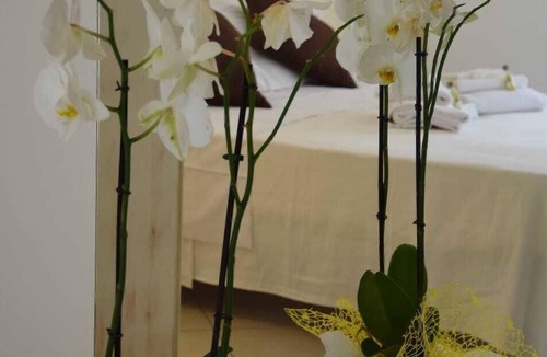 Castiglioncello Hotel | Hotel La Smorfia