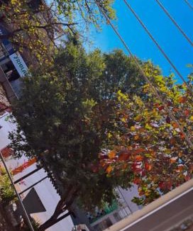 Sete Lagoas Hotel | hotel larena