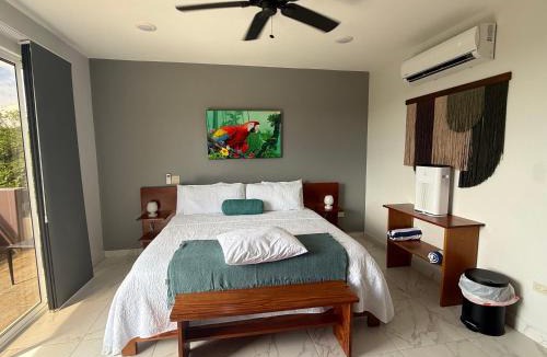 Caletas Hotel | Hotel Las Lomas