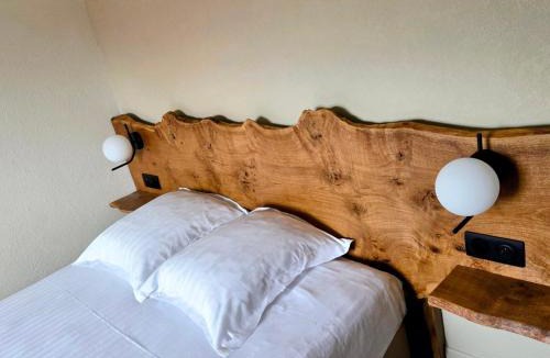 Illkirch-Graffenstaden Hotel | Hotel le Chasseur