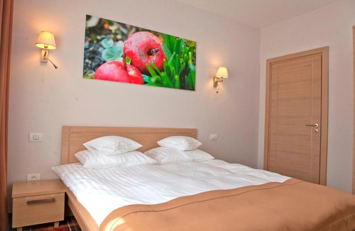 Arad Hotel | Hotel Leon & Spa