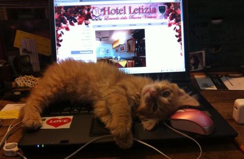 Orte Hotel | Hotel Letizia