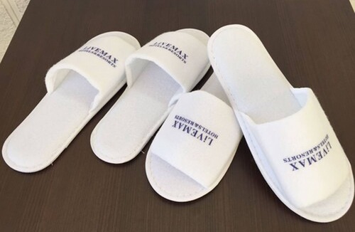 Numata Hotel | HOTEL LiVEMAX Gunma Numata