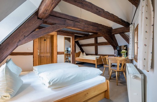 Erlabrunn Hotel | Hotel Meisnerhof