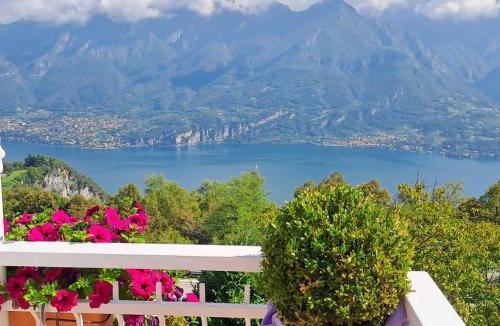Civenna Hotel | Hotel Mirabeau