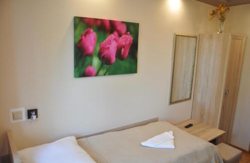 Rzezawa Hotel | Hotel Mis