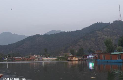 Srinagar Hotel | HOTEl momin