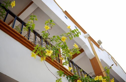 Tulum City Center Hotel | Hotel MT Tulum