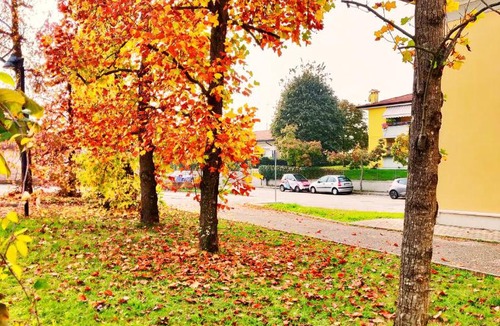 Cordenons Hotel | Hotel Naonis