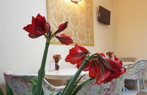Baia Mare Hotel | Hotel New