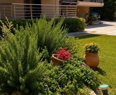 Agiokampos Apartment | Hotel Olivia