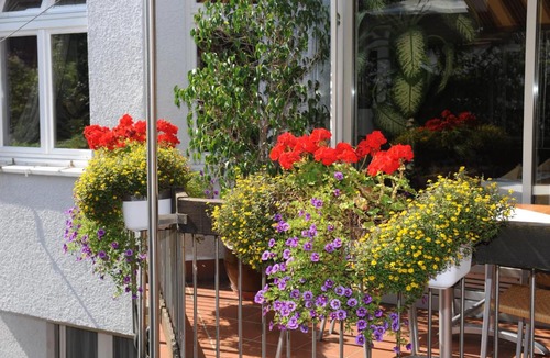 Besigheim Hotel | Hotel Ortel