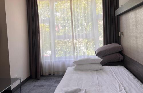 Velenje Hotel | Hotel Paka