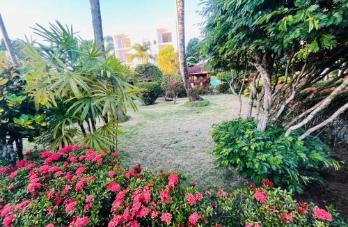 El Centro Apartment | Hotel palococo