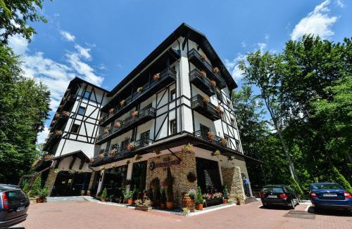 Arefu Hotel | Hotel Posada Vidraru