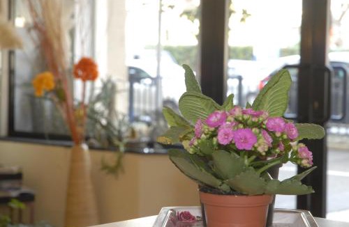Ventimiglia Hotel | Hotel Provenza