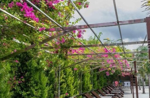 Pipara Simara Resort | Hotel Quick Twenty And Riverside