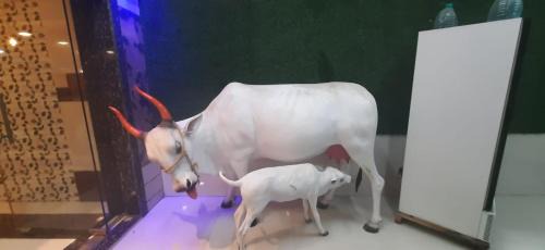 Neral Hotel | Hotel Radha krishna