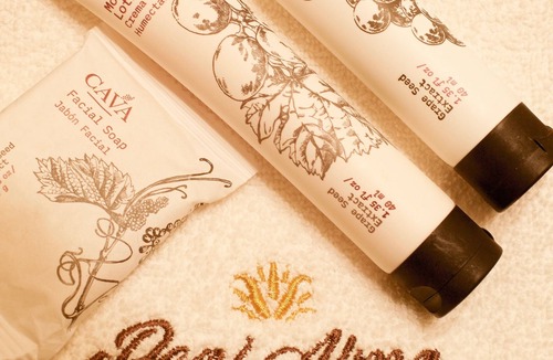 Centro Hotel | Hotel Real Alma