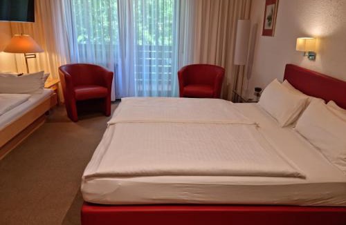 Ohlsbach House | Hotel Rebstock