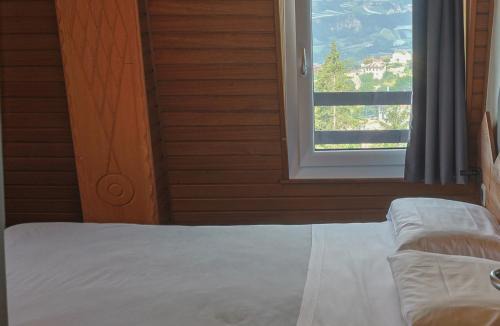 Ronzone Hotel | Hotel Regina del Bosco