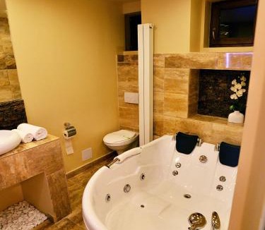 Sumuleu Ciuc Hotel | Hotel Restaurant Park