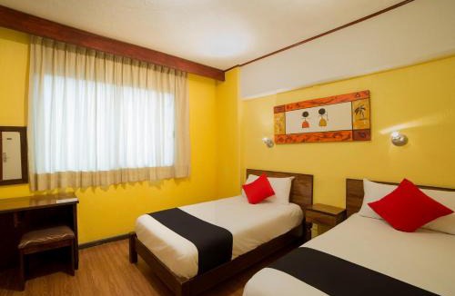 Toluca City-Centre Hotel | Hotel Rex