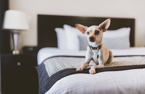 Downtown Victoria Hotel | Hotel Rialto
