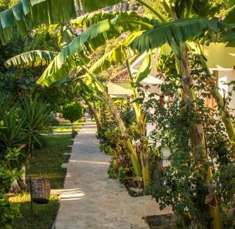 Dalyan Hotel | Hotel Riverside