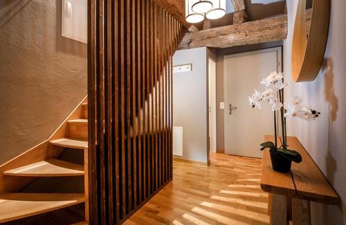 Solothurn Hotel | Hotel Roter Ochsen