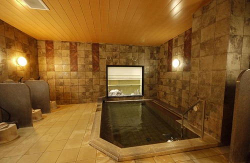 Chikusa Ward Hotel | Hotel Route-Inn Nagoya Imaike Ekimae