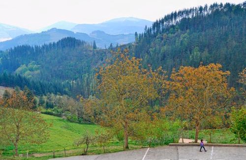 Mallabia Hotel | Hotel Rural Mañe