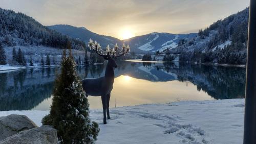 Monguelfo Hotel | Hotel Seehof