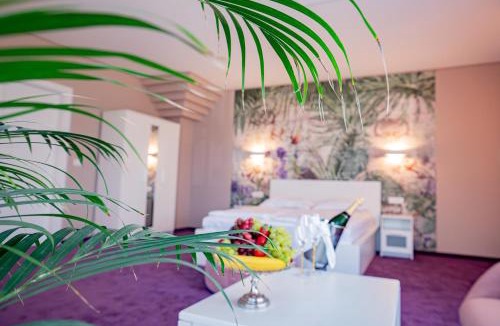 Timisoara Hotel | Hotel Senator