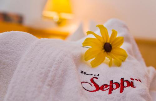 Muhlbach Hotel | Hotel Seppi