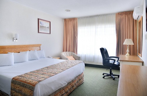 Chihuahua Hotel | Hotel Sicomoro
