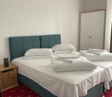 Buzias Hotel | Hotel Silvana
