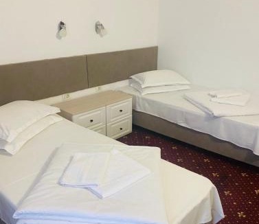 Buzias Hotel | Hotel Silvana