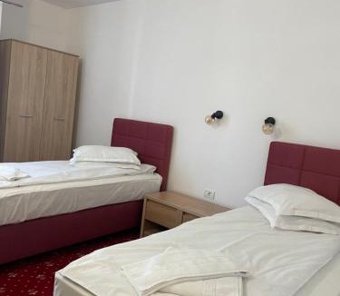 Buzias Hotel | Hotel Silvana