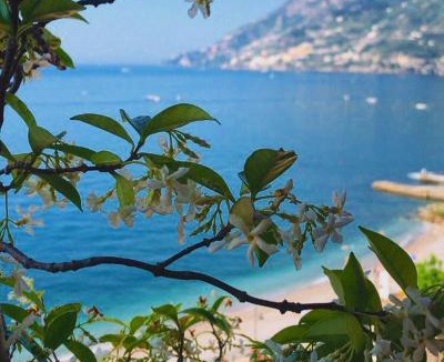 Maiori Hotel | Hotel Sole