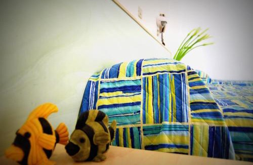 Cesenatico Hotel | Hotel Solemare