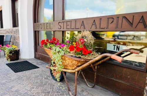 Bellamonte Hotel | Hotel Stella Alpina